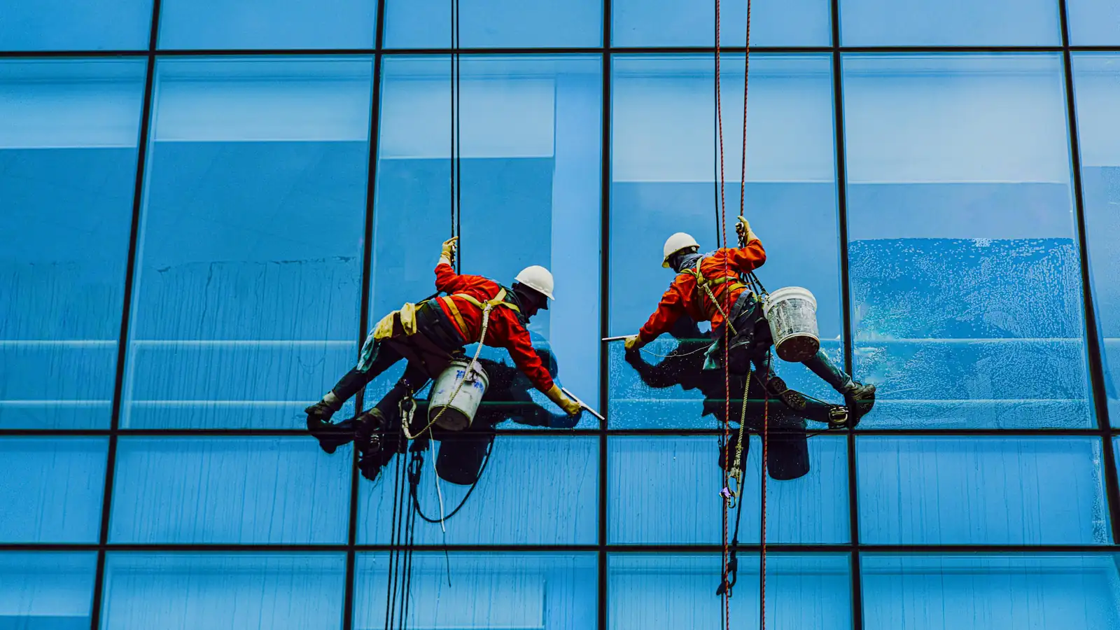 Professional window cleaner washing office windows